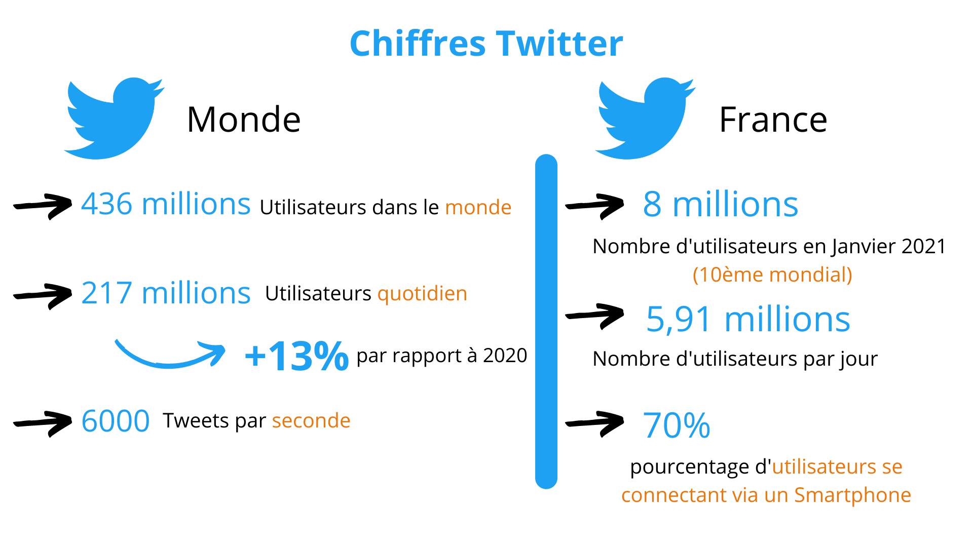 détail chiffres utilisation de Twitter dans le monde et en France 
